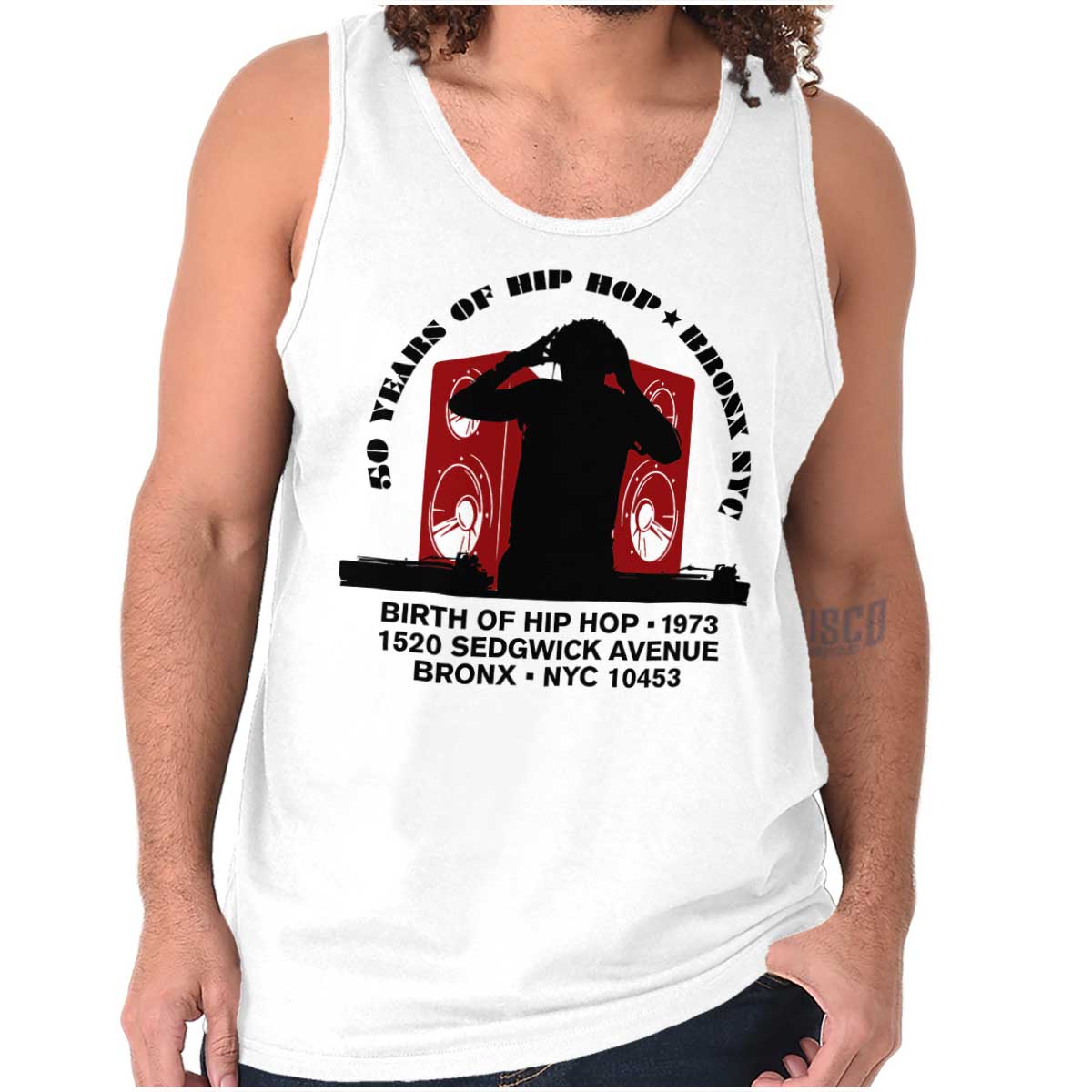 This image honors the birthplace of hip-hop and showcases its history, beats, and rhymes, representing the heart and soul of the culture showing a DJ and big speakers.